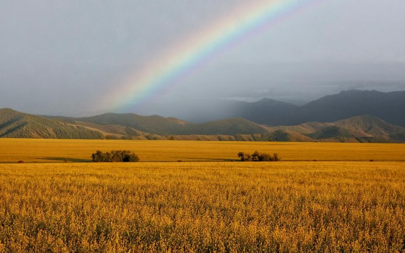 Уймонская долина