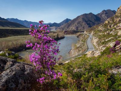 Майские праздники