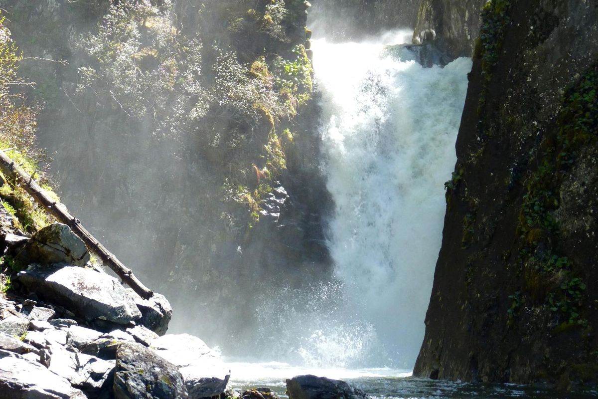 Телецкое озеро "Легенды и были Золотого озера", экскурсия