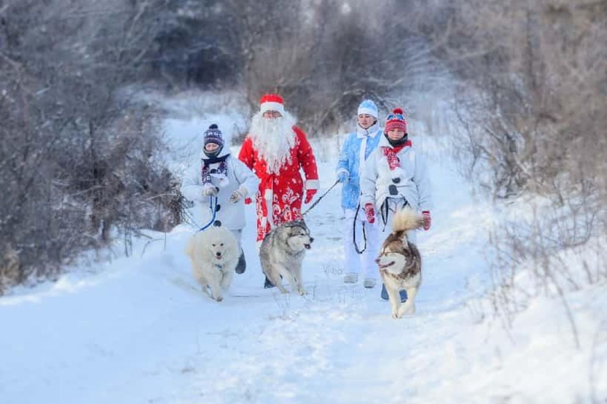 Новогоднее путешествие на Алтай