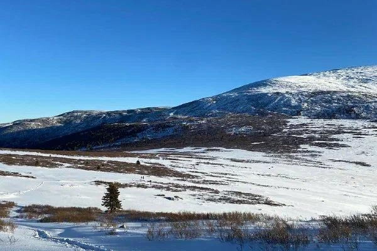 Священная Каракольская долина + зубровый питомник + памятник суслику, экскурсия