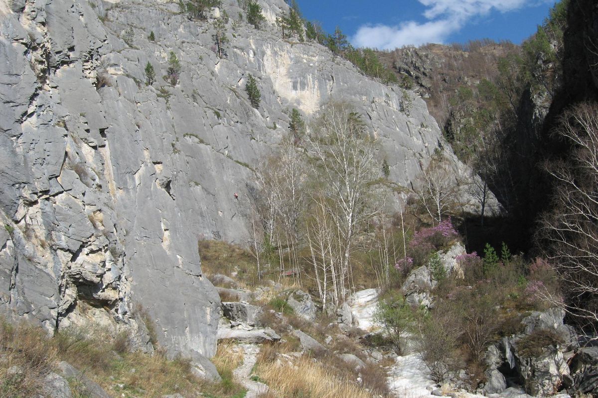 Удивительный Чемал + урочище Чечкыш + пасека, экскурсия