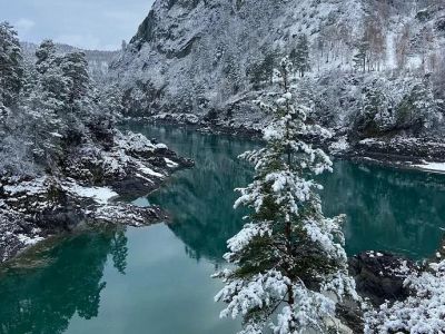 Удивительный Чемал + урочище Чечкыш + пасека, экскурсия