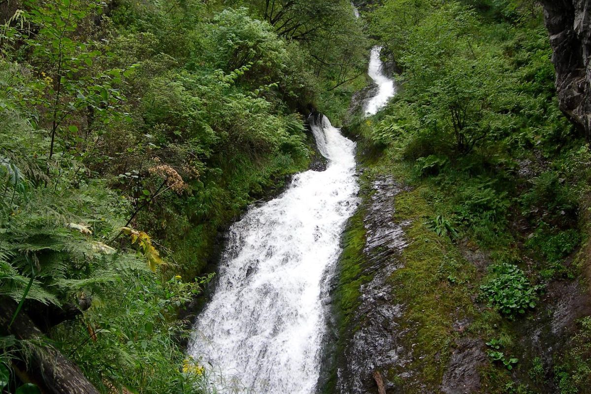 Телецкое озеро "По 5 водопадам с посещением поселка Яйлю", экскурсия