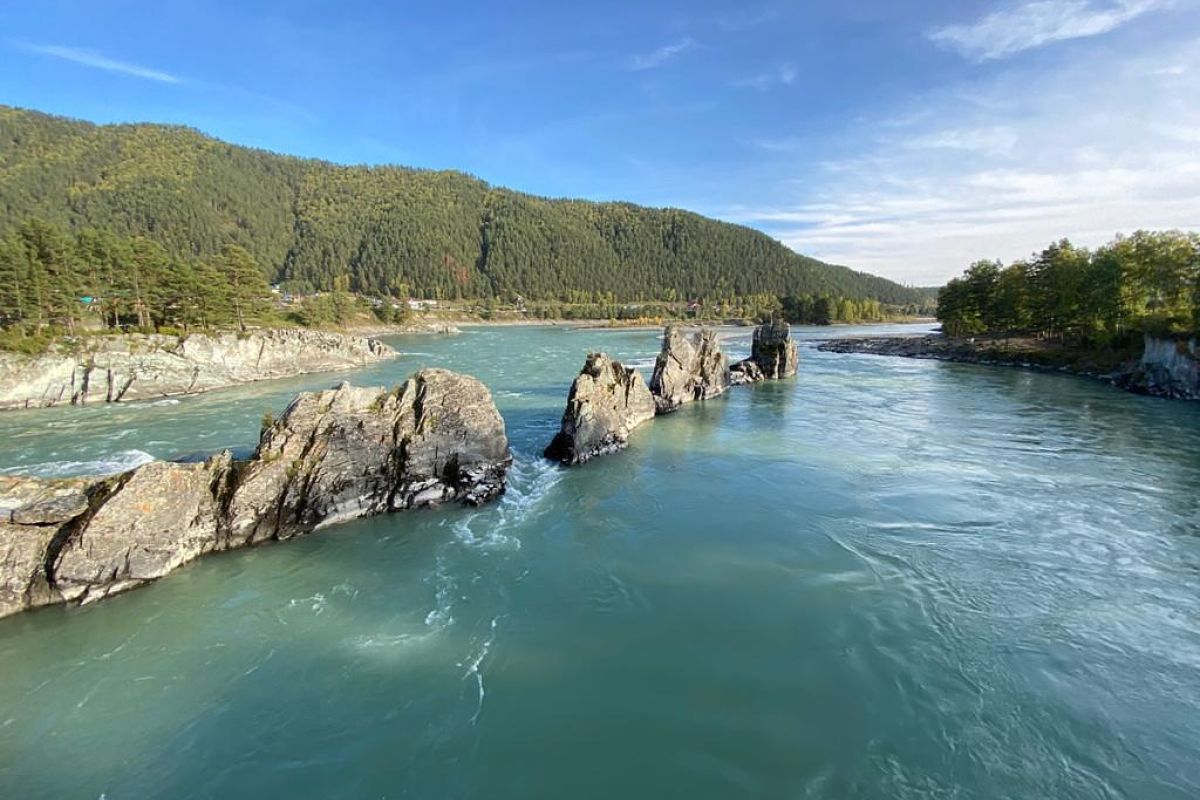 Удивительный Чемал + Ороктойский мост, экскурсия