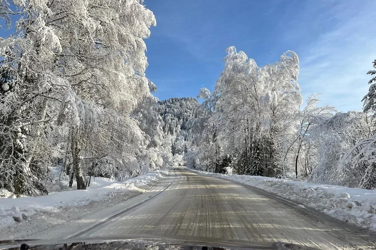 «Всероссийская здравница город-курорт - Белокуриха +  подъем  на г. Церковка* +  «Белокуриха Горная», экскурсия