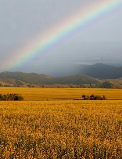Уймонская долина