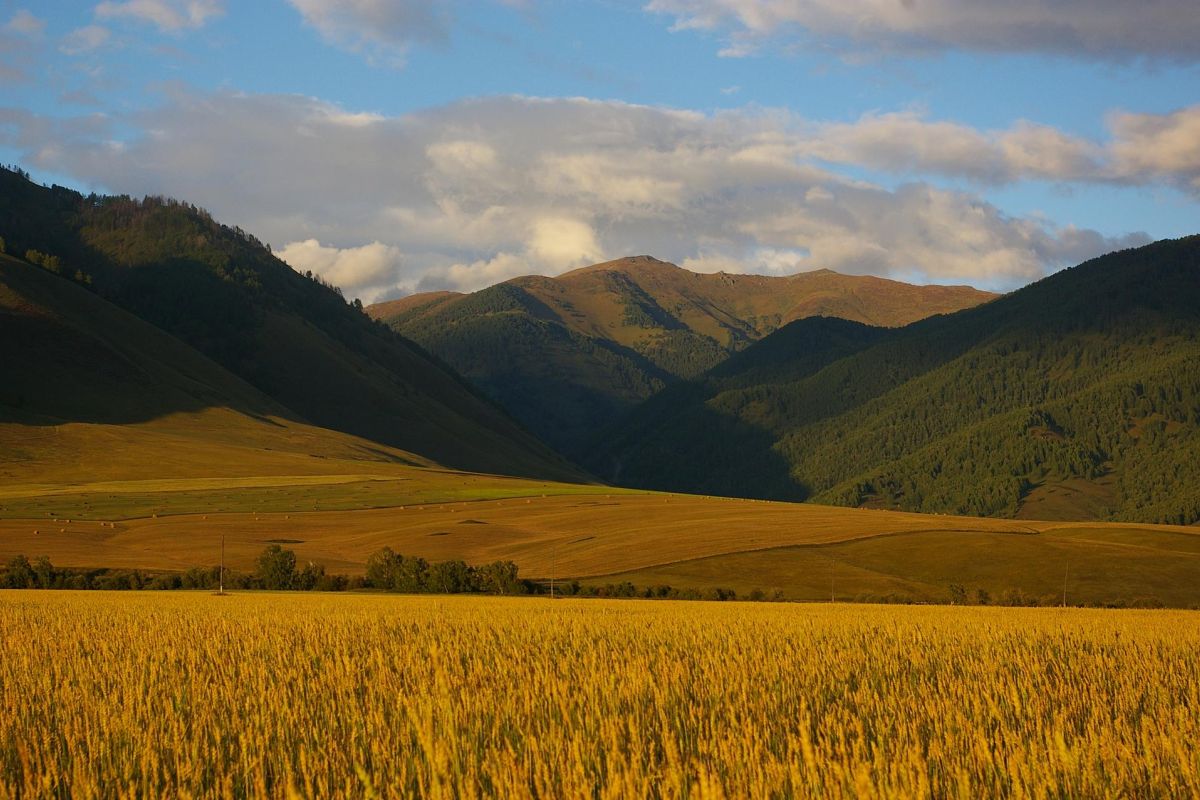 Алтай Шамбала