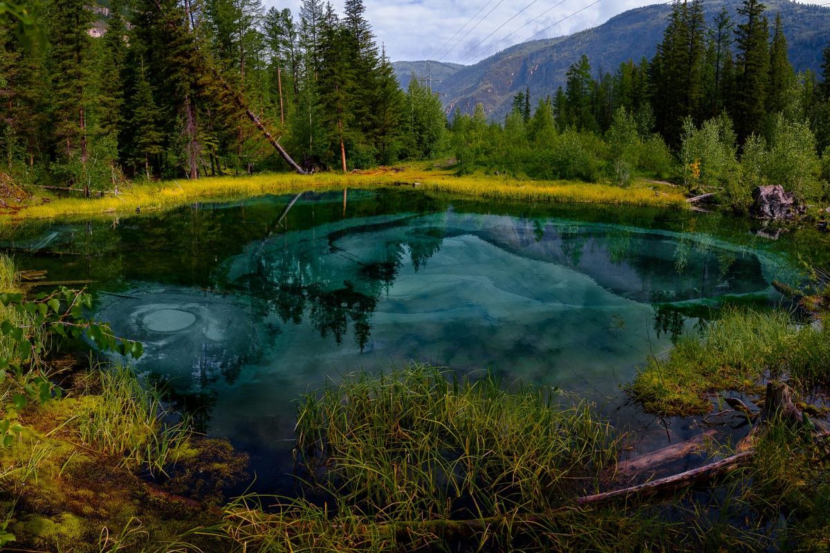 Сердце Алтая, тур