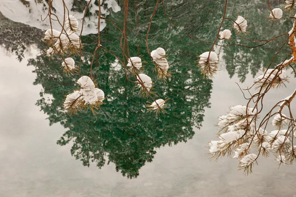 Голубые озёра с. Аскат - Чемал  (о. Патмос) - маральник Байгабак