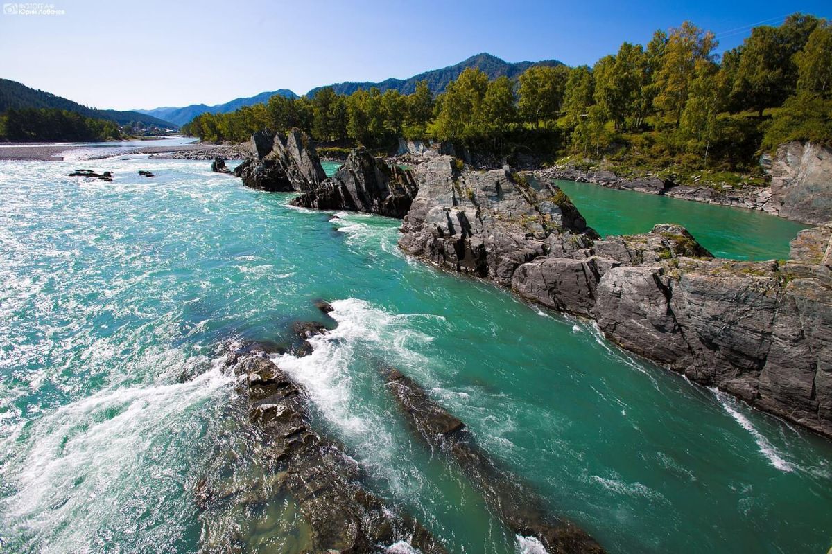 Визит Алтая