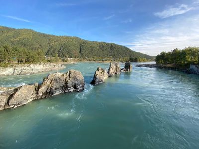Удивительный Чемал + Ороктойский мост, экскурсия