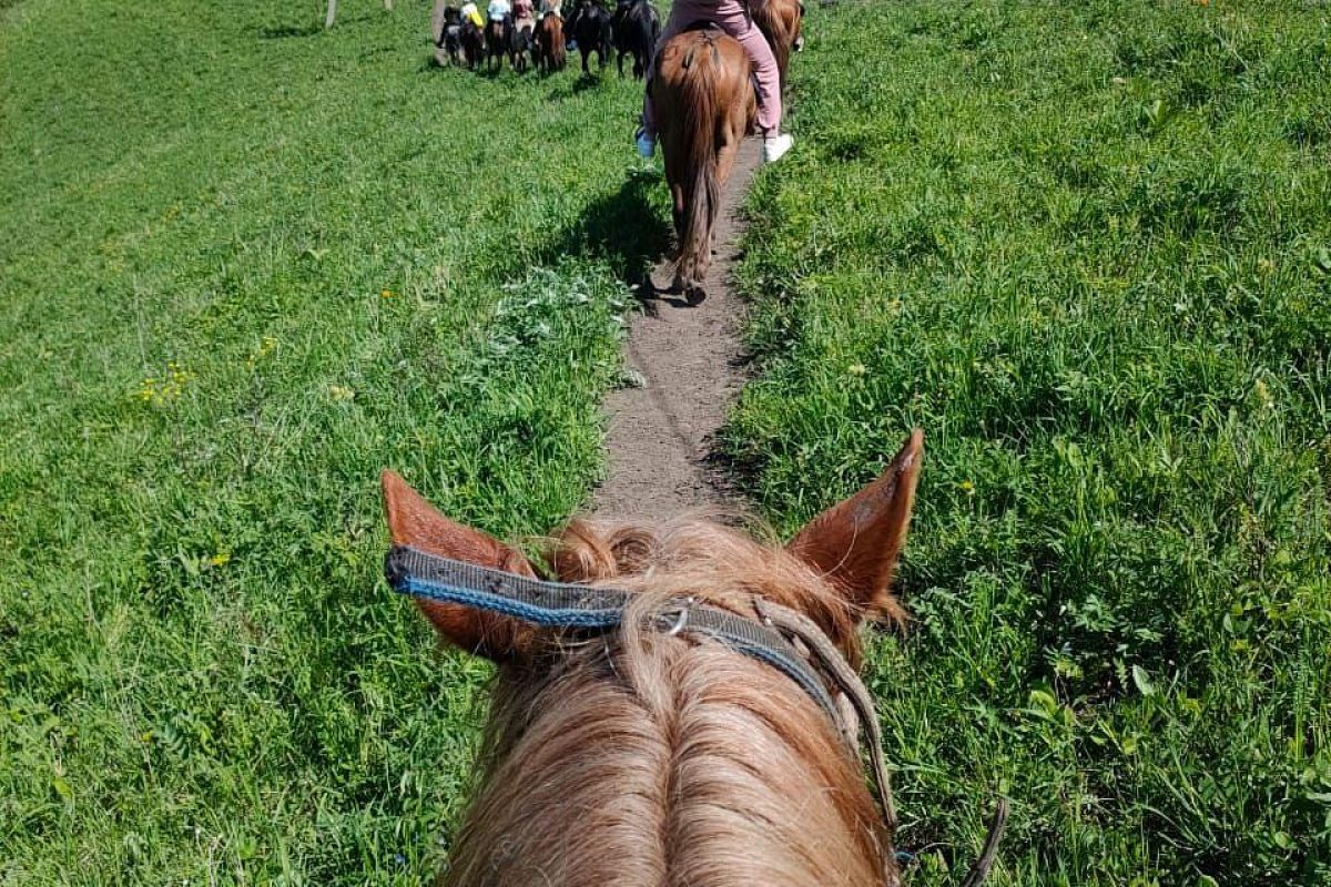 Конная экскурсия на Чертов палец, экскурсия