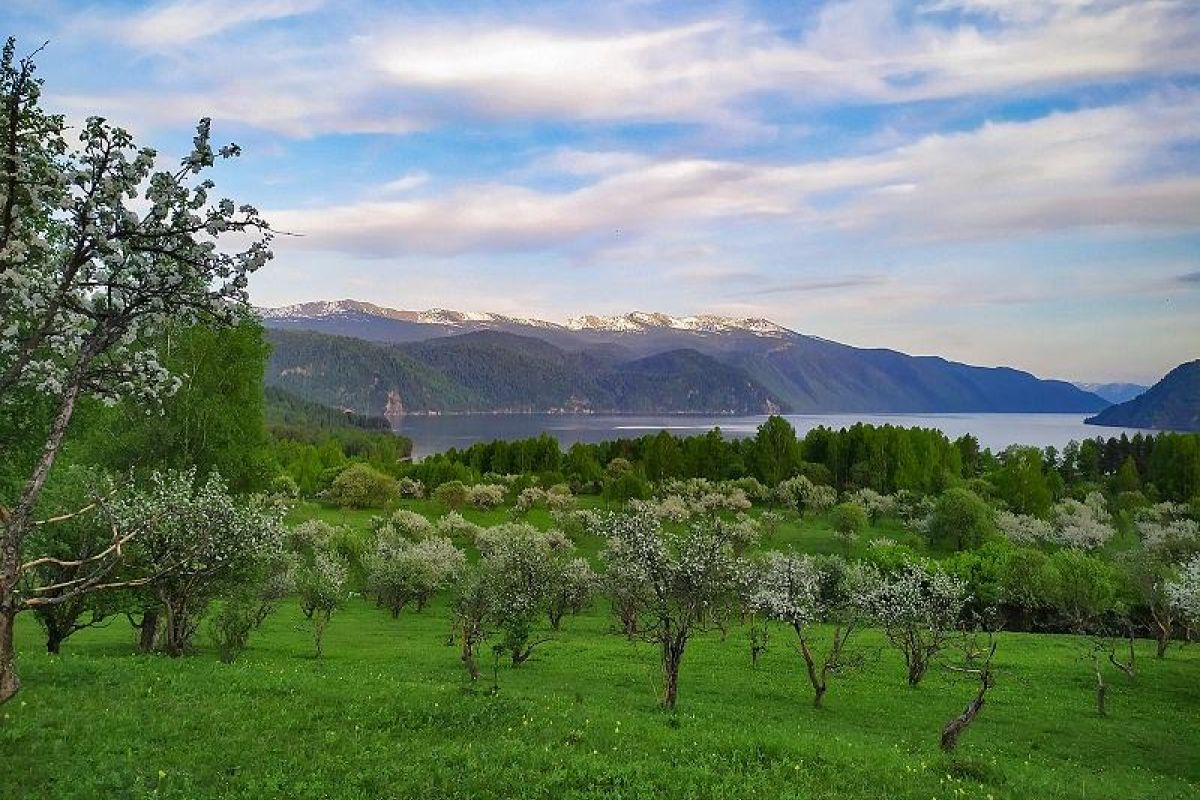 Телецкое озеро "По 5 водопадам с посещением поселка Яйлю", экскурсия