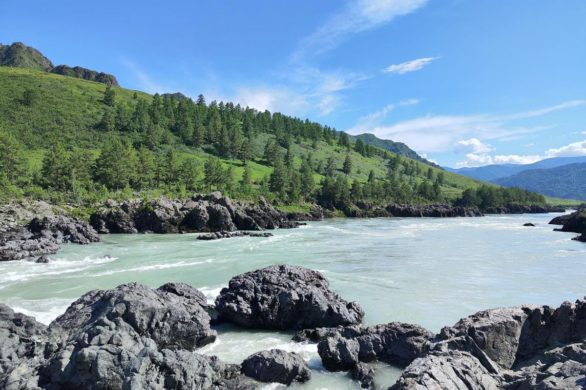 Удивительный Чемал + Ороктойский мост, экскурсия