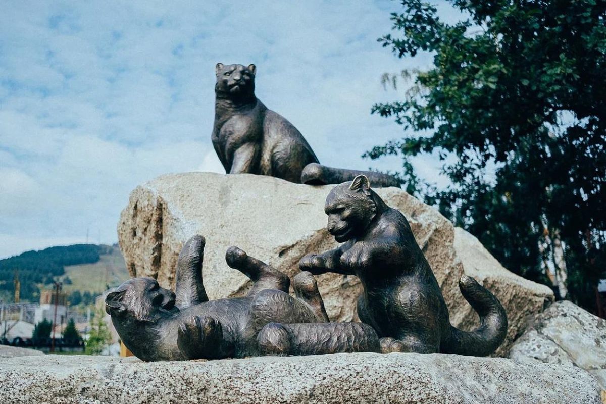 Краткая обзорная «Треккинг-экскурсия по горе Комсомольская»  с видами на  г.Горно-Алтайск»