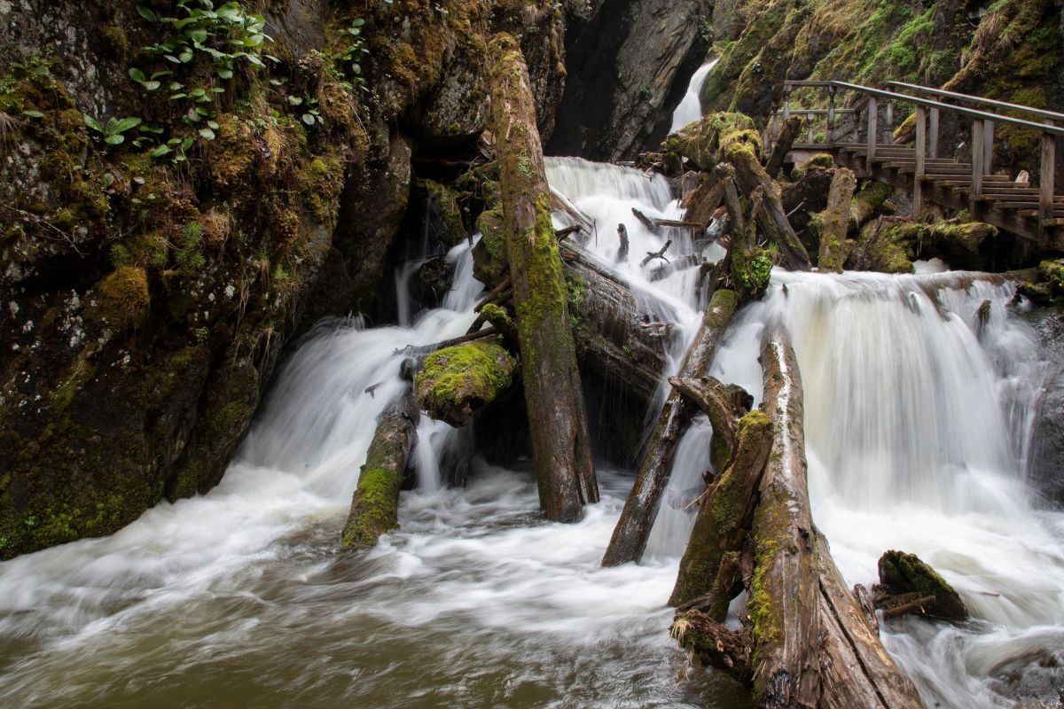 Телецкое озеро "По 5 водопадам с посещением поселка Яйлю", экскурсия