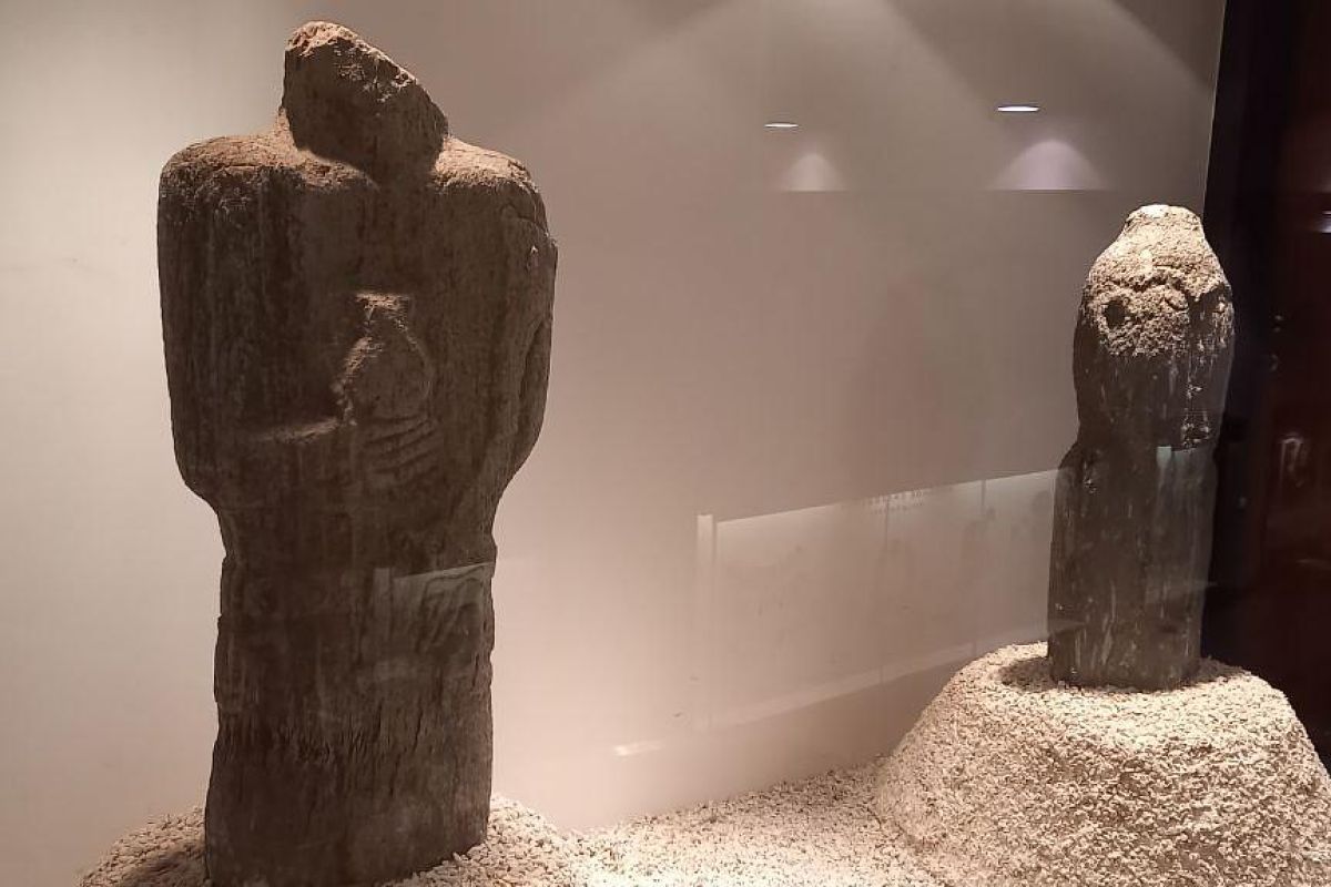 В горной долине город любимый с посещением музея им. Анохина, экскурсия + этнопрограмма с игрой на национальных инструментах и горловым пением