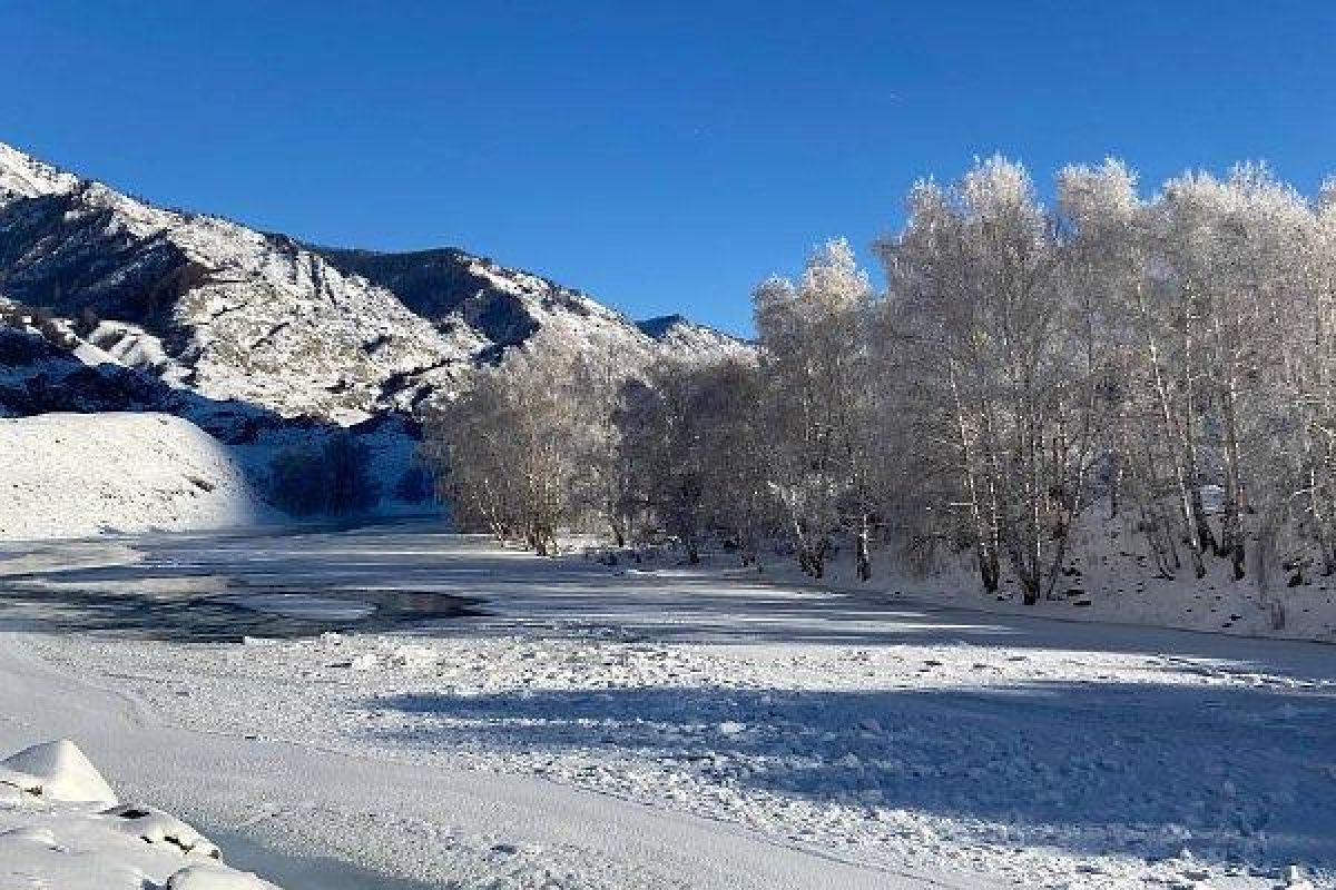 Рождественское чудо Алтая