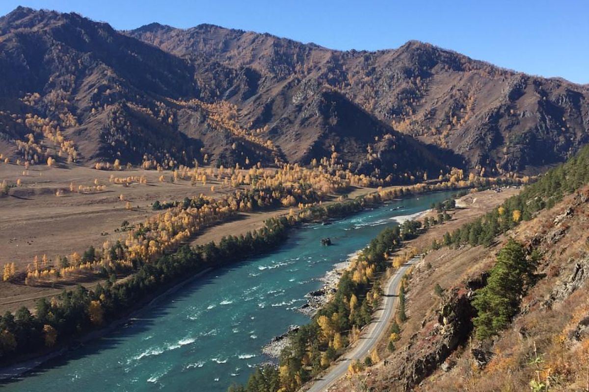 Удивительный Чемал + Ороктойский мост, экскурсия