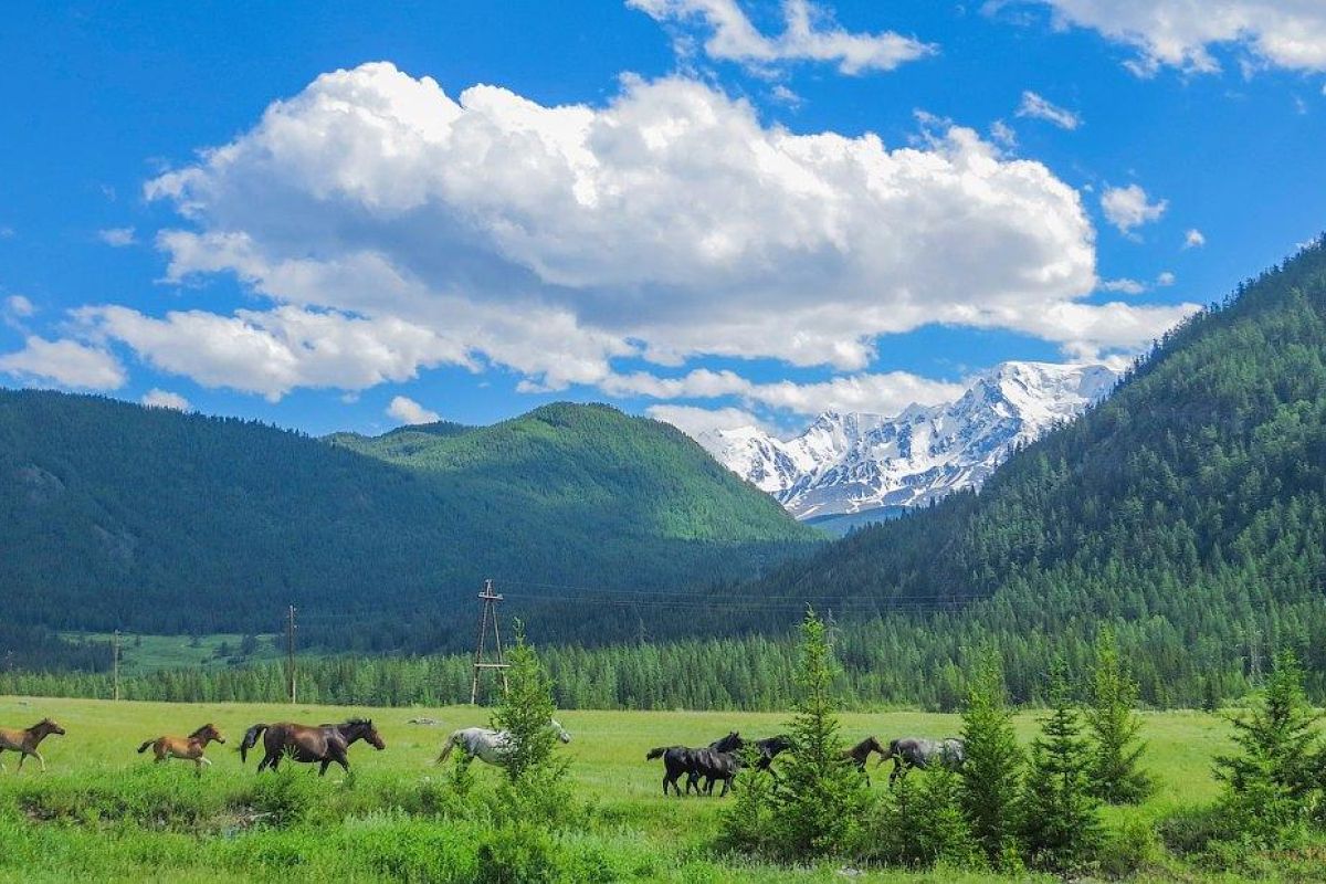 Алтайское ожерелье