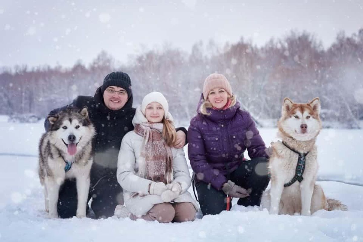 Зимний Форсаж