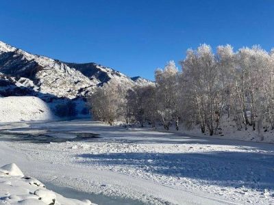 Рождественское чудо Алтая