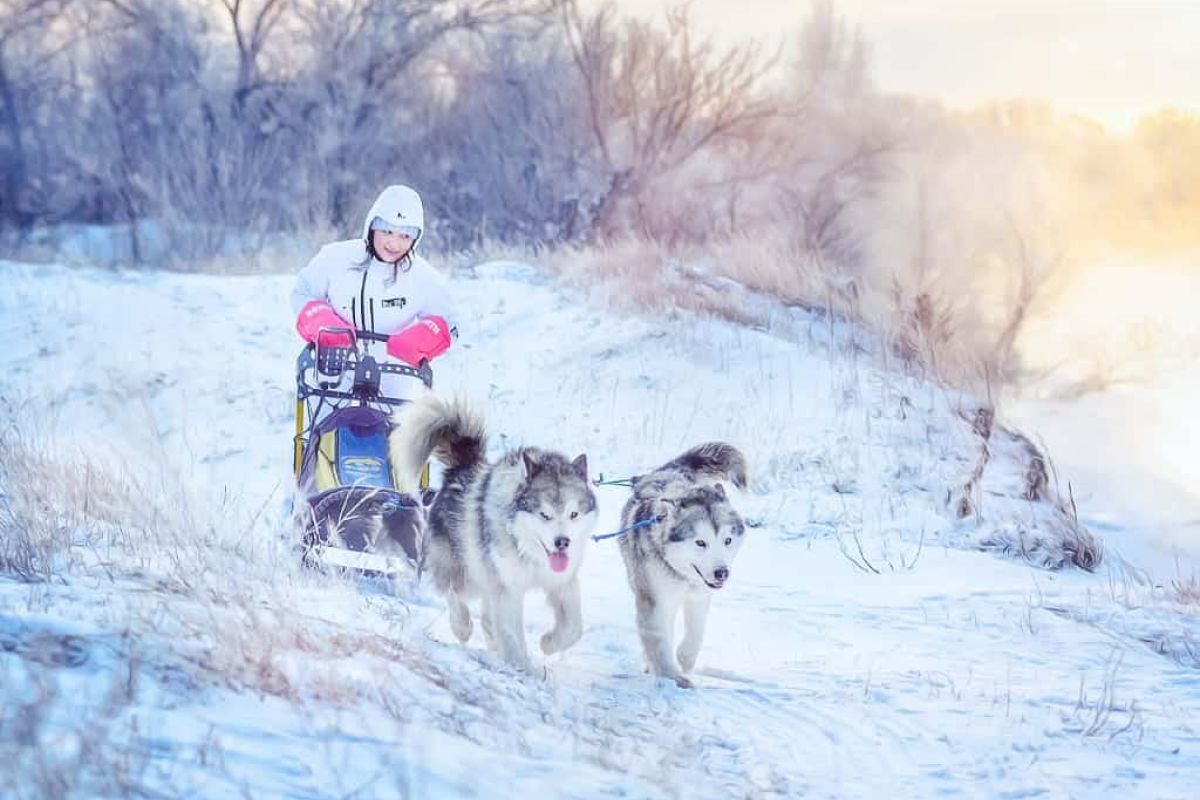 Алтай. Зимняя сказка