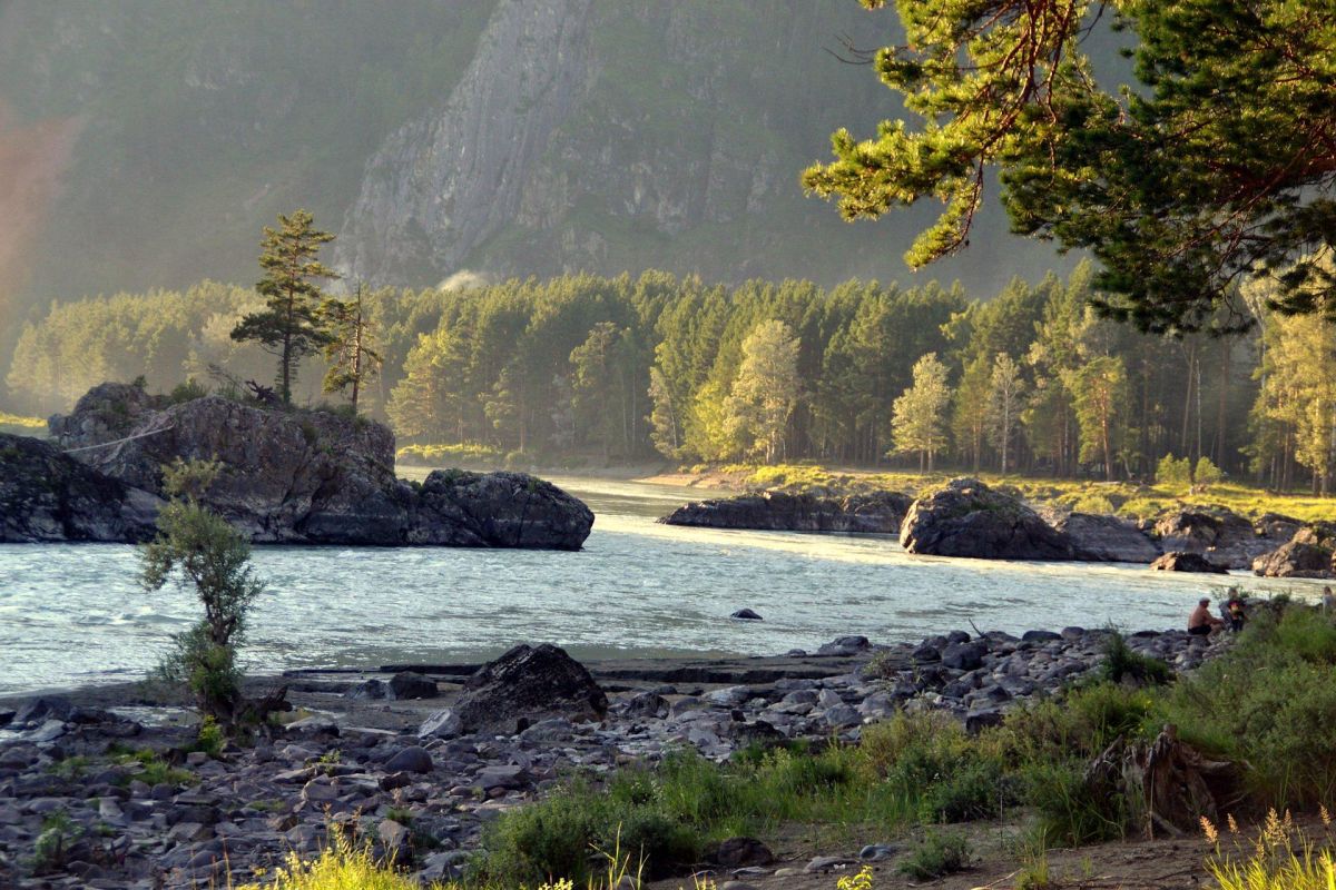 Удивительный Чемал + урочище Чечкыш + пасека, экскурсия