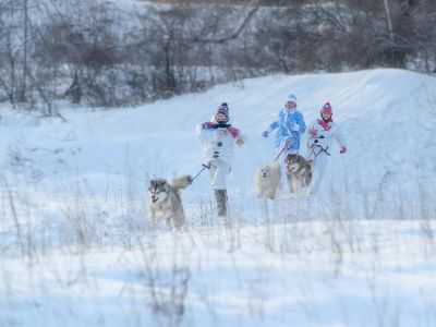 Знакомство с хаски в Центре ездового собаководства + этнокомплекс в с. Полеводка