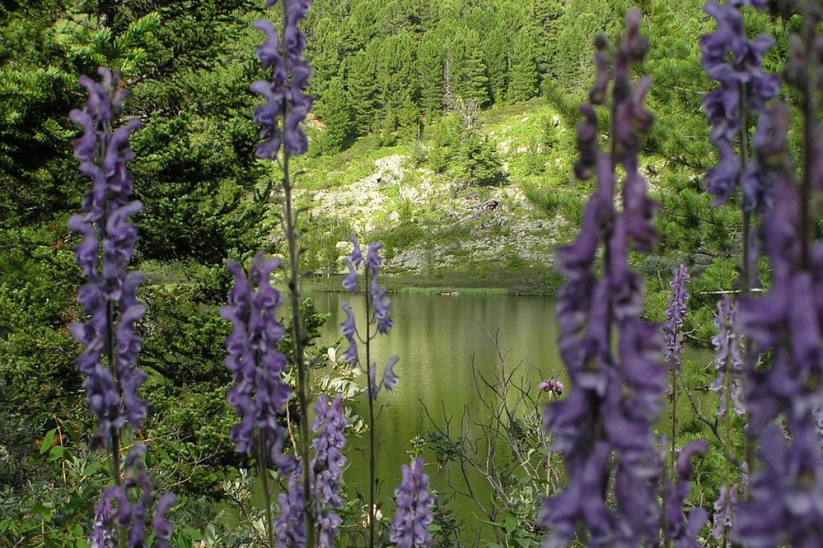 Каракольские озера, 7 озер за один день, экскурсия