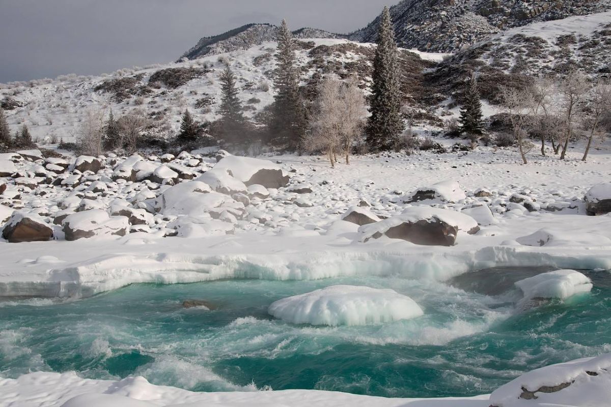 Удивительный Чемал + урочище Чечкыш + пасека, экскурсия