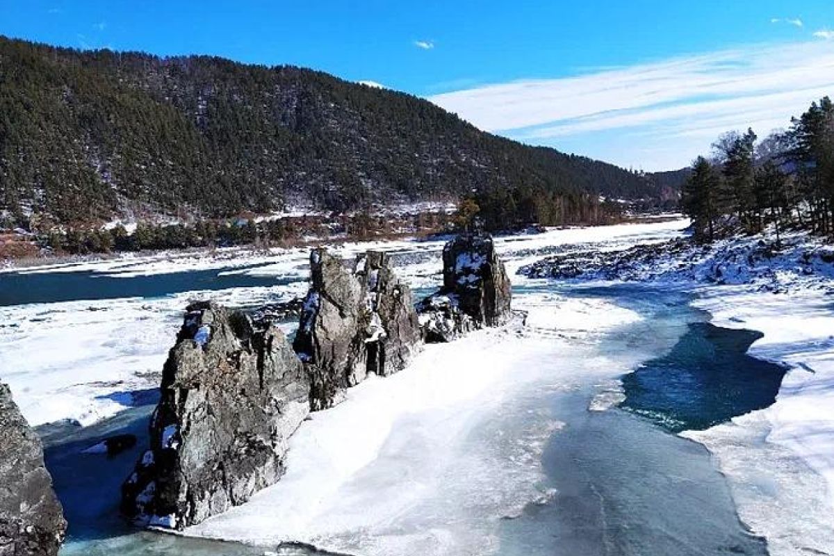 Удивительный Чемал + урочище Чечкыш + пасека, экскурсия